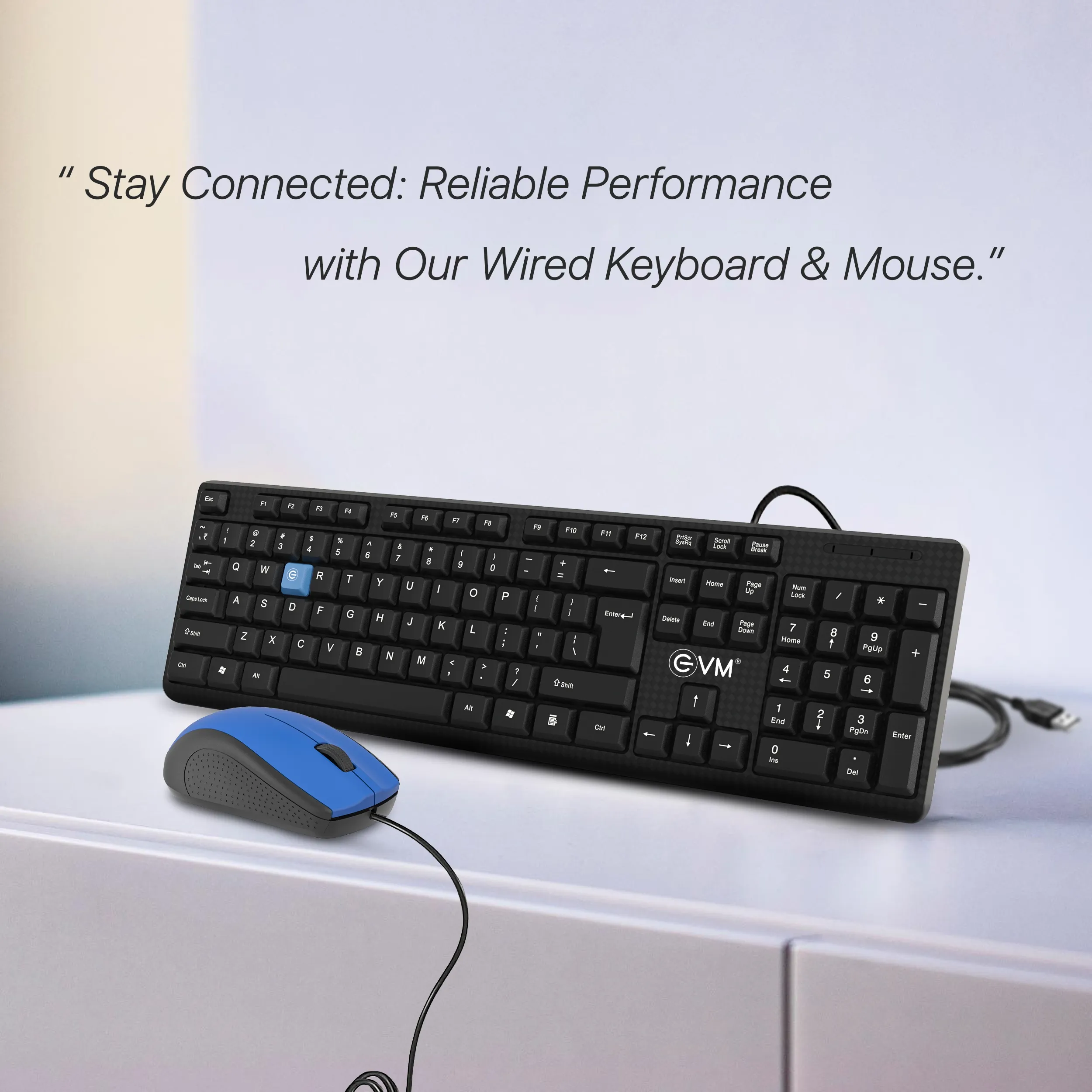 EVM Wired Keyboard Mouse Combo (EVM-WDKM-513) view 2